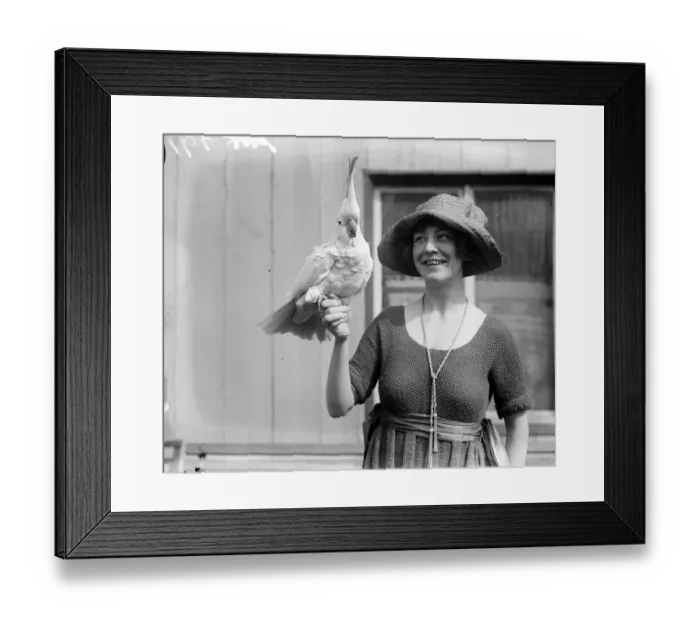Framed Print : Cockatoo. circa 1926: A woman with a cockatoo perched on her hand Framed Print : Cockatoo. circa 1926: A woman with a cockatoo perched on her hand