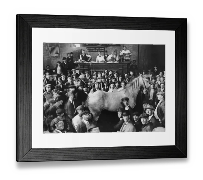 Framed Print : Horse Mart Framed Print : Horse Mart
