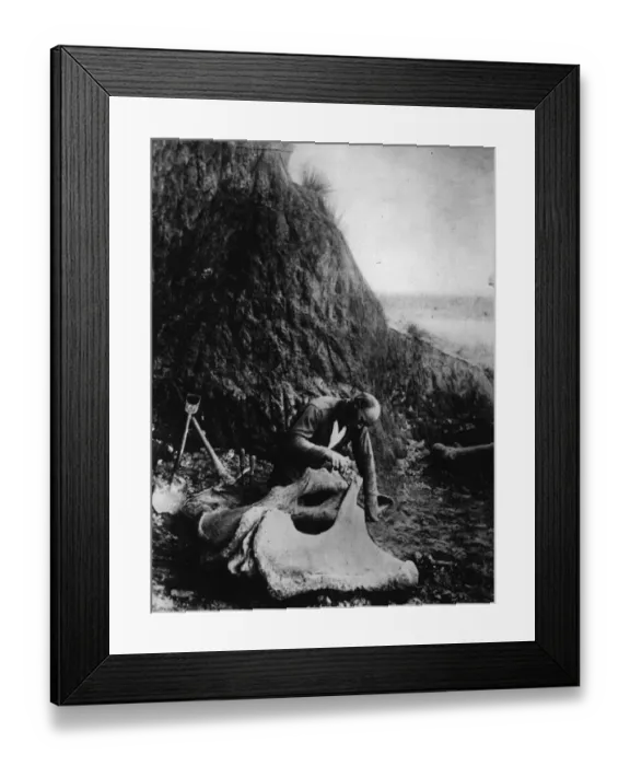Framed Print : Riggs Expedition Framed Print : Riggs Expedition