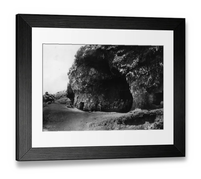 Framed Print : Natural Defences Framed Print : Natural Defences
