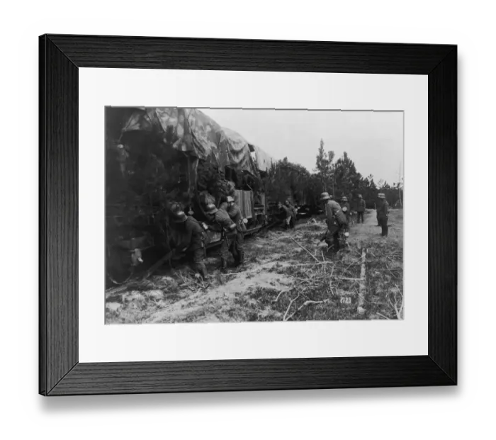 Framed Print : Train Camouflage Framed Print : Train Camouflage