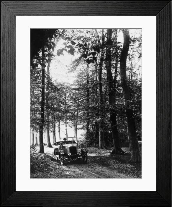 Framed Print : Woodland Drive Framed Print : Woodland Drive