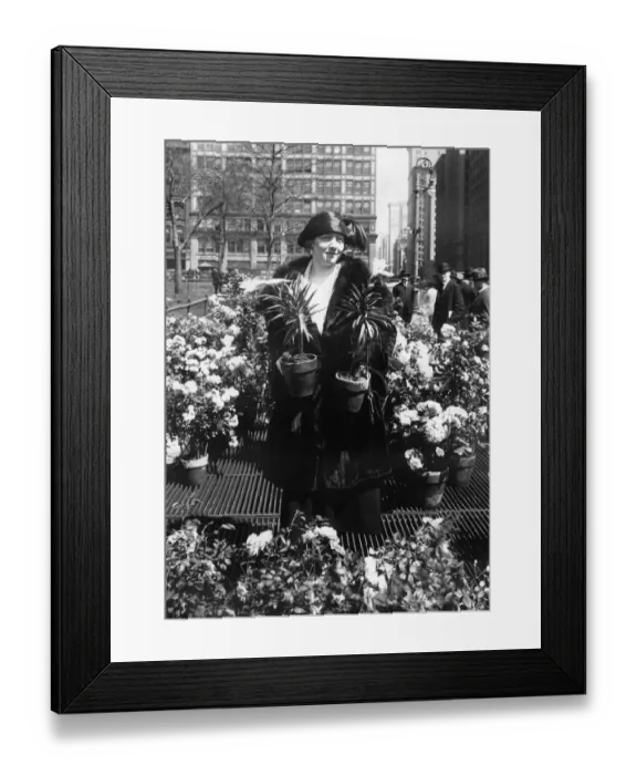 Framed Print : Easter Lilies Framed Print : Easter Lilies