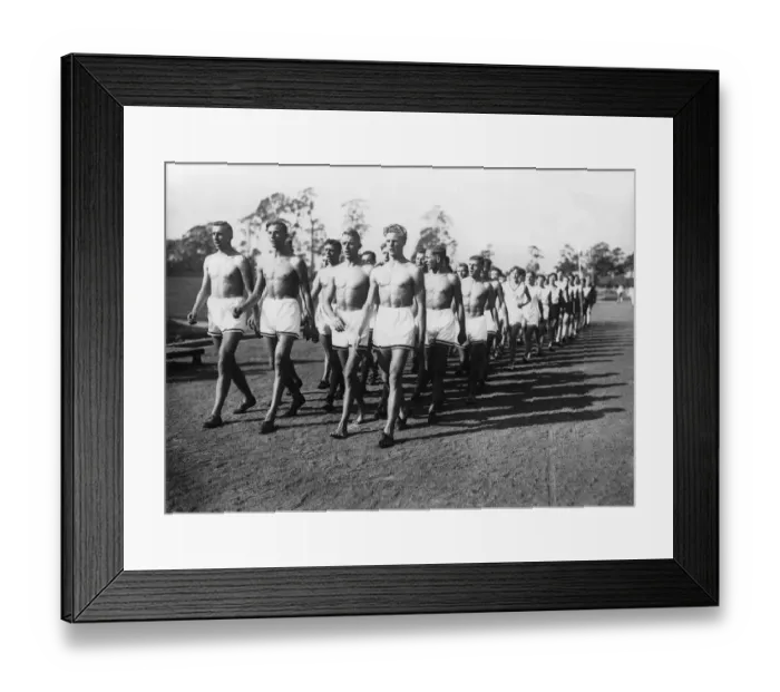 Framed Print : Chests Out Framed Print : Chests Out