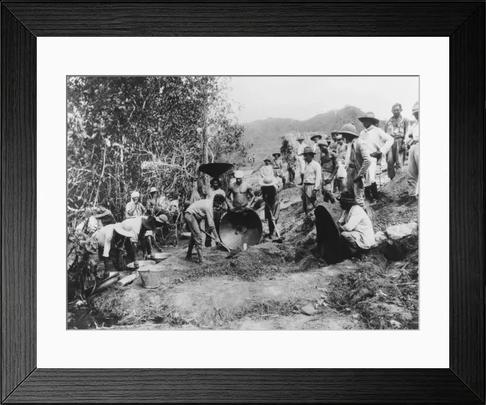 Framed Print : Local Bank Framed Print : Local Bank