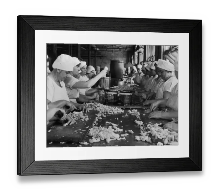 Framed Print : Meat Processing Framed Print : Meat Processing