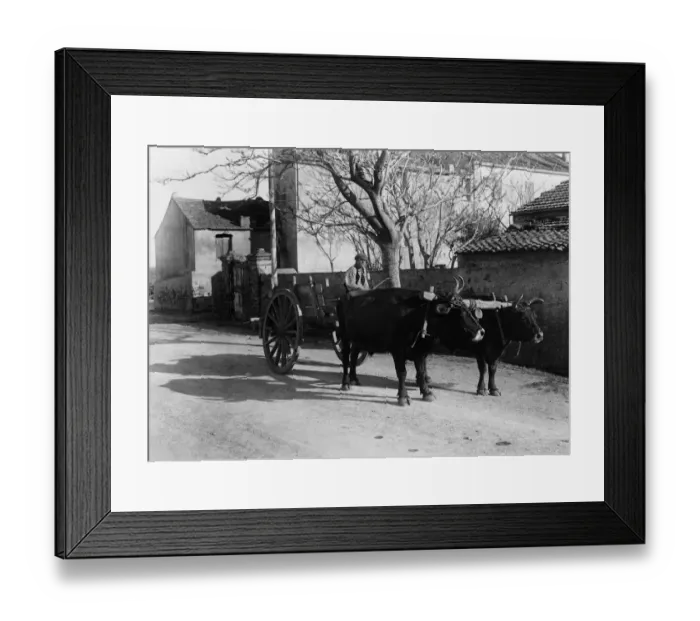Framed Print : Corsican Cart Framed Print : Corsican Cart
