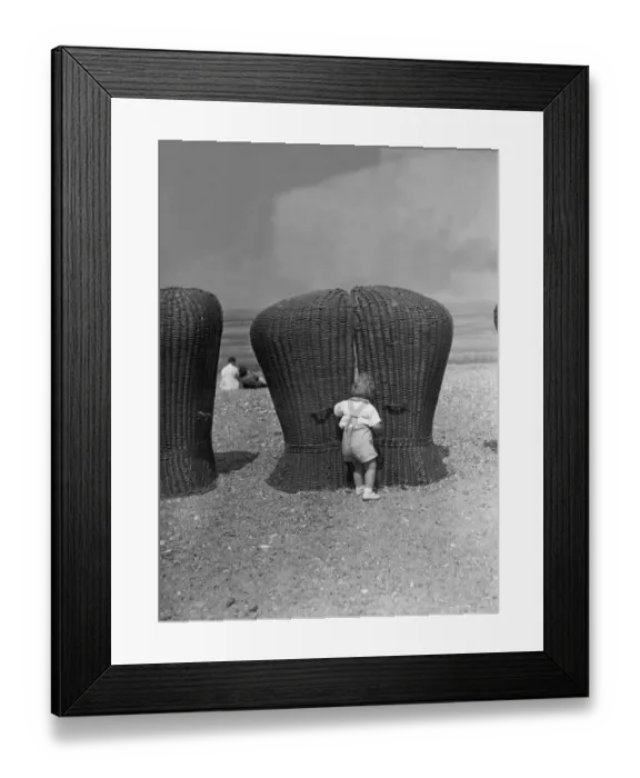 Framed Print : Beach Curiosity Framed Print : Beach Curiosity
