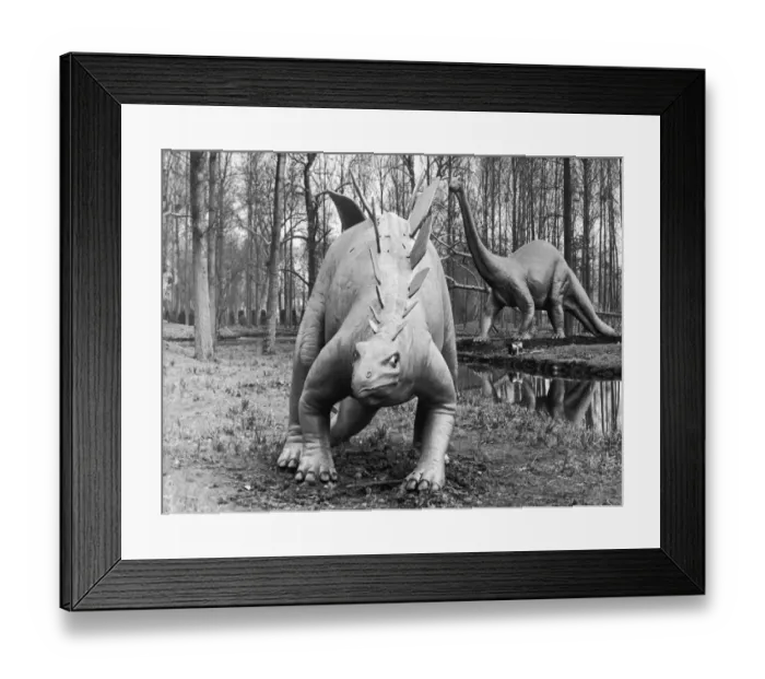 Framed Print : Model Stegosaurus Framed Print : Model Stegosaurus
