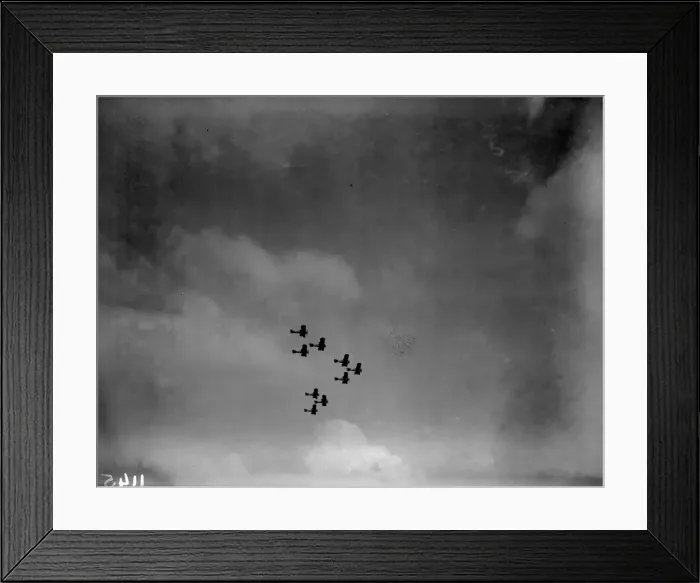 Framed Print : Formation Flying Framed Print : Formation Flying
