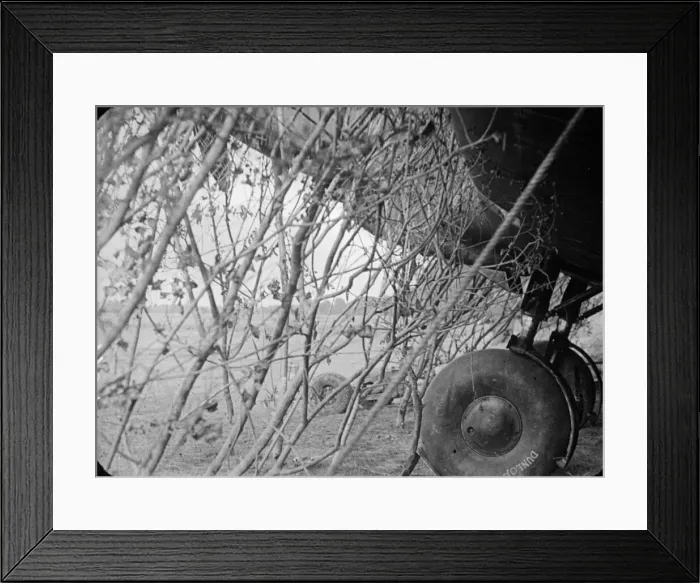 Framed Print : Hidden Plane Framed Print : Hidden Plane