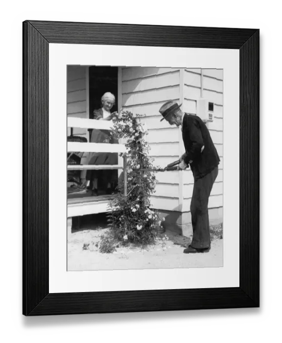 Framed Print : Mature couple gardening (B&W)