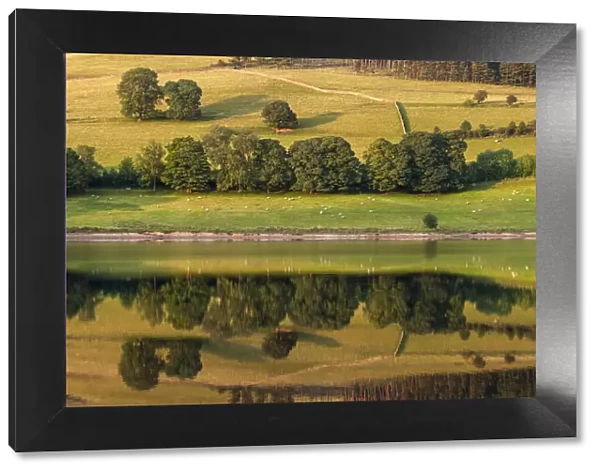 Landscape symmetry, Ladybower reservoir