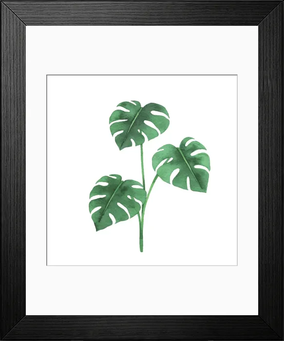 Framed Print : Print. Botanical Illustrations Framed Print : Print. Botanical Illustrations