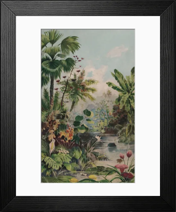 Framed Print : Jungle landscape, chromolithograph, published in 1895 Framed Print : Jungle landscape, chromolithograph, published in 1895
