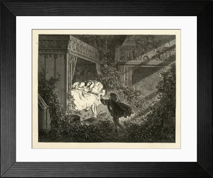 Framed Print : The prince discovering Sleeping Beauty, Perraults Fairy Tales Framed Print : The prince discovering Sleeping Beauty, Perraults Fairy Tales