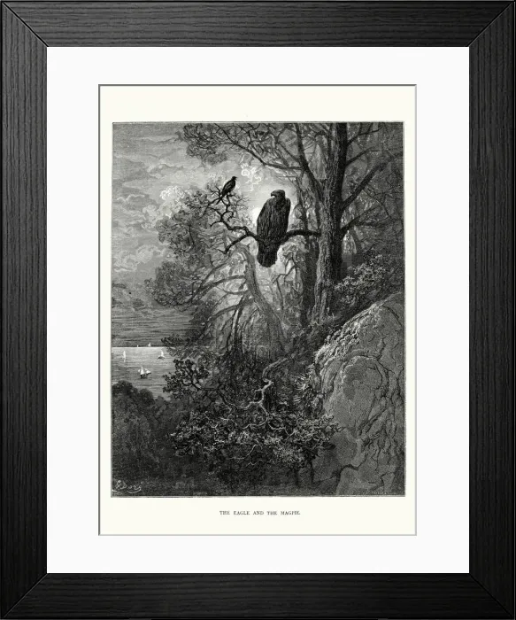 Framed Print : La Fontaines Fables - Eagle and the Magpie Framed Print : La Fontaines Fables - Eagle and the Magpie