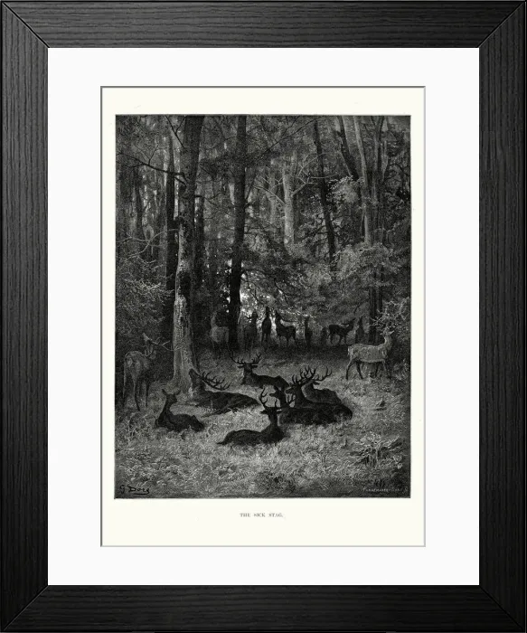 Framed Print : La Fontaines Fables - The Sick Stag Framed Print : La Fontaines Fables - The Sick Stag