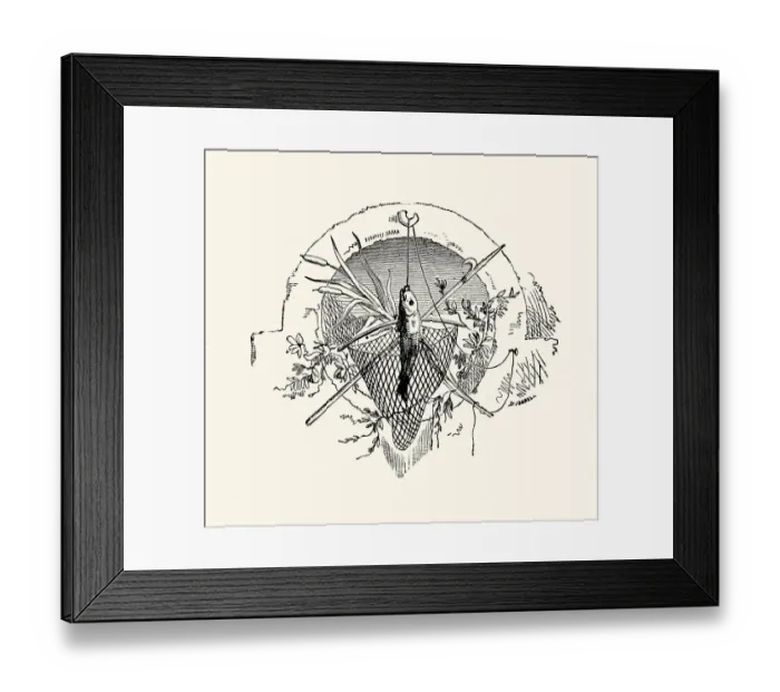 Framed Print : Fishing Motif Framed Print : Fishing Motif