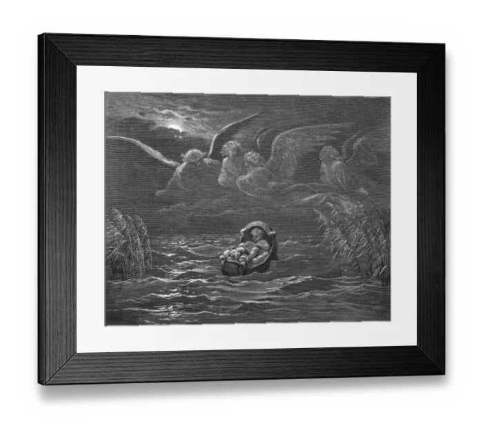 Framed Print : basket in the Nile Framed Print : basket in the Nile