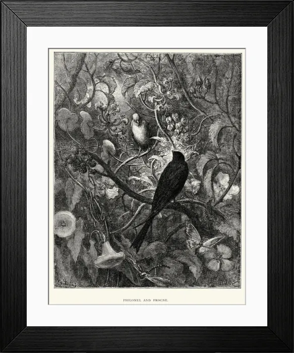 Framed Print : La Fontaines Fables - Philomel and Progne Framed Print : La Fontaines Fables - Philomel and Progne