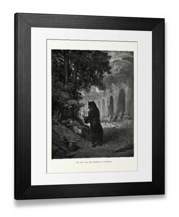 Framed Print : La Fontaines Fables - Bear and the Amateur of Gardening