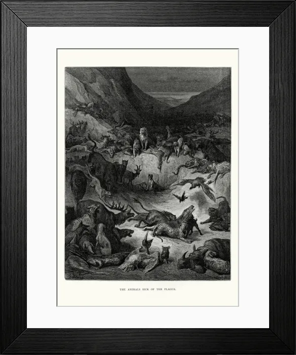 Framed Print : La Fontaines Fables - Animals sick of the Plague Framed Print : La Fontaines Fables - Animals sick of the Plague