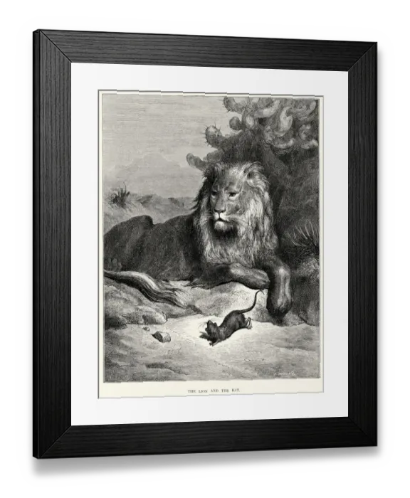 Framed Print : La Fontaines Fables - Lion and the Rat Framed Print : La Fontaines Fables - Lion and the Rat