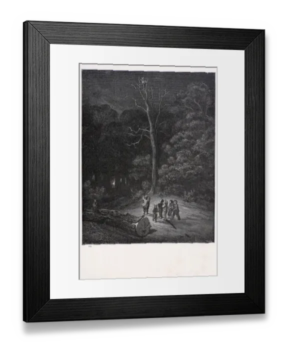 Framed Print : Light in the wood Framed Print : Light in the wood
