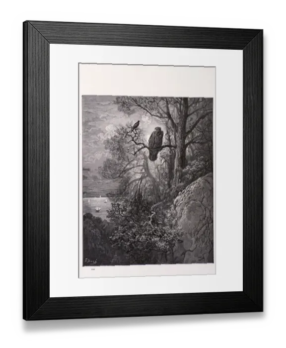 Framed Print : Eagle and the magpie