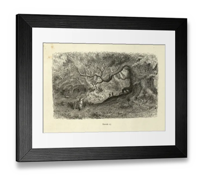Framed Print : Knights fighting in a enchanted forest, Orlando Furioso Framed Print : Knights fighting in a enchanted forest, Orlando Furioso