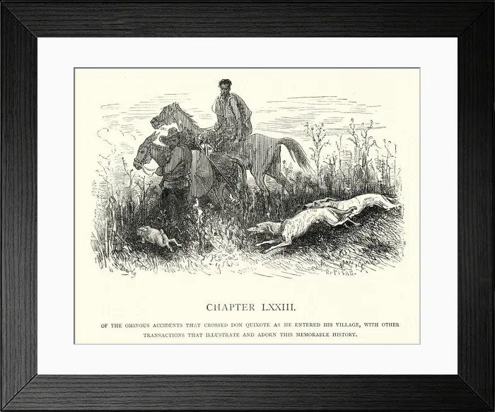 Framed Print : Of the ominous accidents that crossed Don Quixote