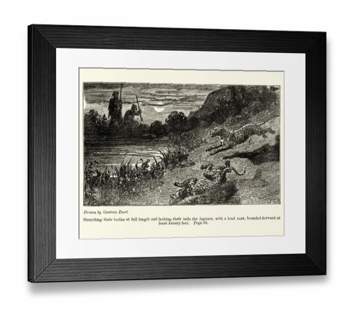 Framed Print : Golden Rangers, lashing their tails the jaguars bounded forward Framed Print : Golden Rangers, lashing their tails the jaguars bounded forward