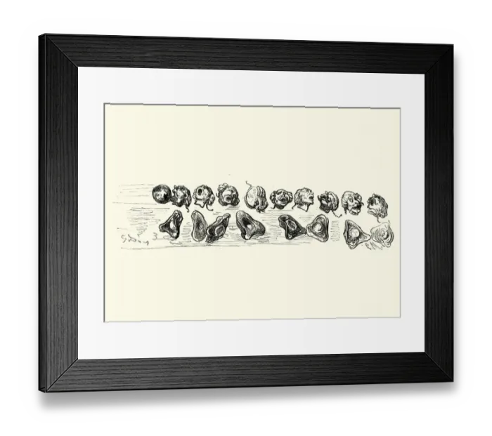 Framed Print : Adventures of Baron Munchausen, Cannonball and Barons head Framed Print : Adventures of Baron Munchausen, Cannonball and Barons head