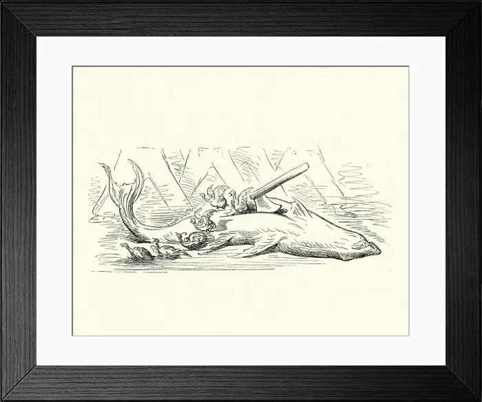 Framed Print : Adventures of Baron Munchausen, An extraordinary shark Framed Print : Adventures of Baron Munchausen, An extraordinary shark