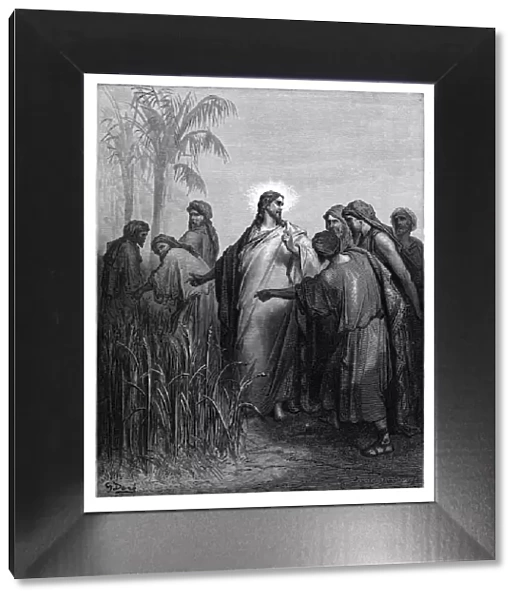 Jesus and disciples in the cornfield engraving 1870