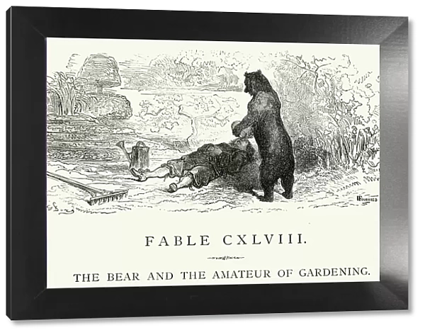 La Fontaines Fables - Bear and the Amateur of Gardening