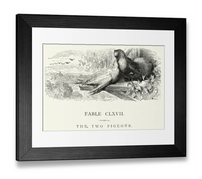 Framed Print : La Fontaines Fables - The Two Pigeons