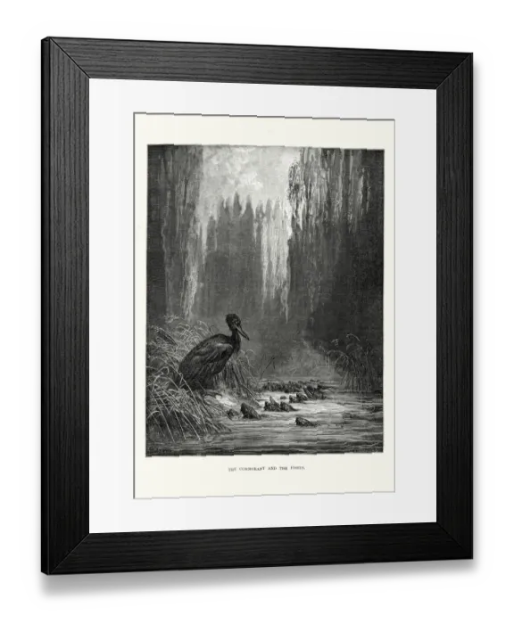 Framed Print : La Fontaines Fables - Cormorant and the Fishes Framed Print : La Fontaines Fables - Cormorant and the Fishes