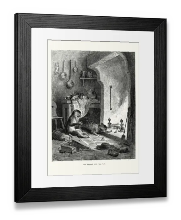 Framed Print : La Fontaines Fables - Monkey and the Cat Framed Print : La Fontaines Fables - Monkey and the Cat