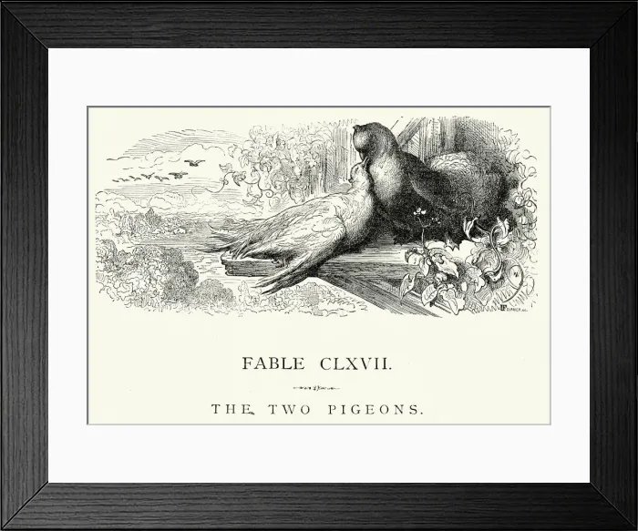 Framed Print : La Fontaines Fables - The Two Pigeons Framed Print : La Fontaines Fables - The Two Pigeons