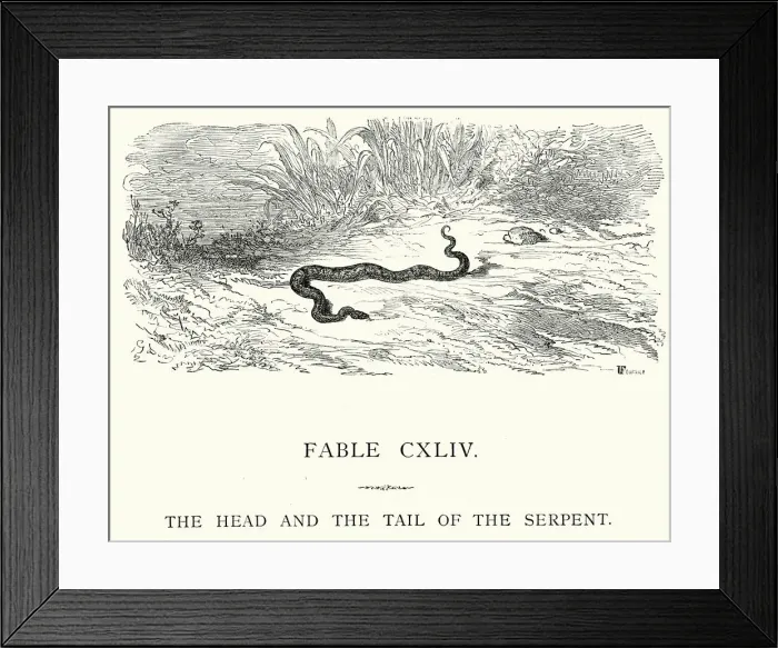 Framed Print : La Fontaines Fables - Head and Tail of the Serpent Framed Print : La Fontaines Fables - Head and Tail of the Serpent