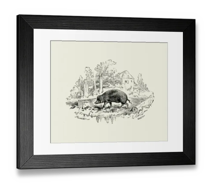Framed Print : La Fontaines Fables - The Pig Framed Print : La Fontaines Fables - The Pig