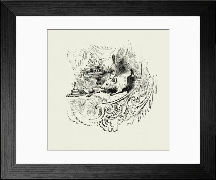 Framed Print : La Fontaines Fables - The Mouse Framed Print : La Fontaines Fables - The Mouse