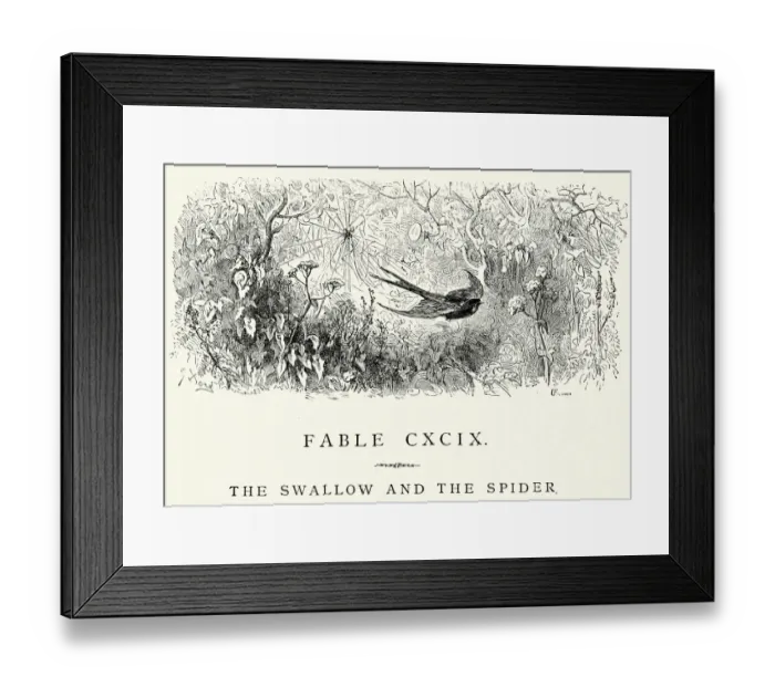 Framed Print : La Fontaines Fables - Swallow and the Spider Framed Print : La Fontaines Fables - Swallow and the Spider