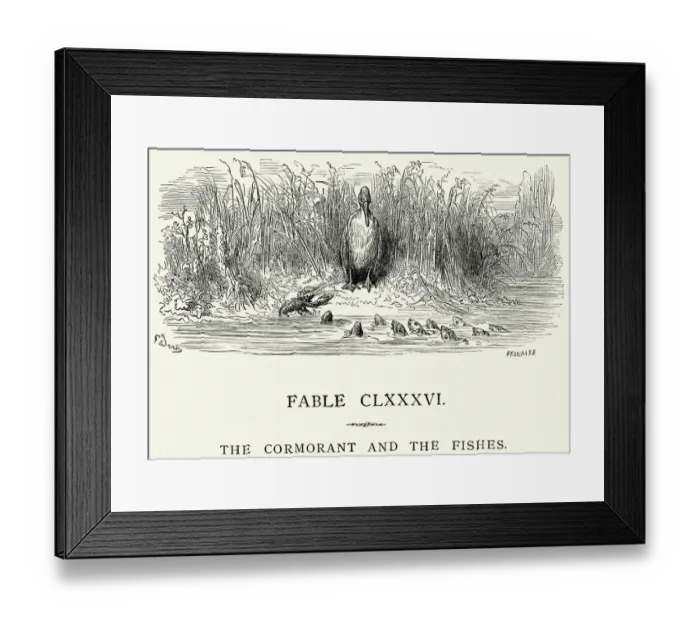 Framed Print : La Fontaines Fables - Cormorant and the Fishes Framed Print : La Fontaines Fables - Cormorant and the Fishes