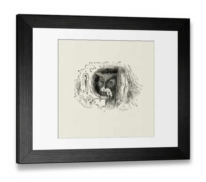 Framed Print : La Fontaines Fables - Owl and the Mouse