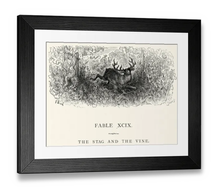 Framed Print : La Fontaines Fables - Stag and the Vine