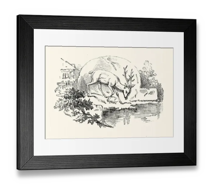 Framed Print : La Fontaines Fables - The Stag Framed Print : La Fontaines Fables - The Stag