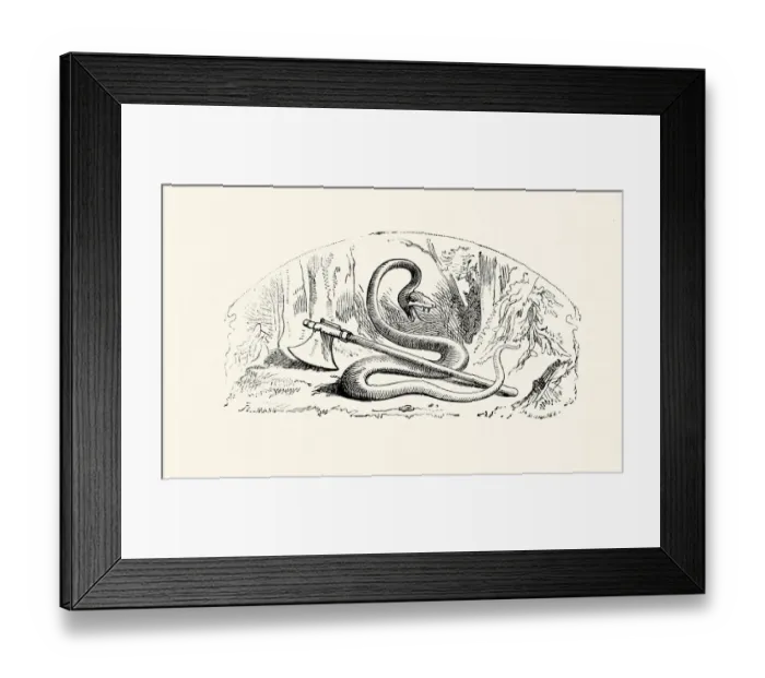 Framed Print : Snake and Axe Framed Print : Snake and Axe